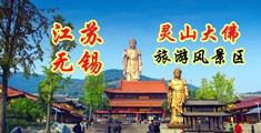 视频互操美女黄片视频免费观看江苏无锡灵山大佛旅游风景区